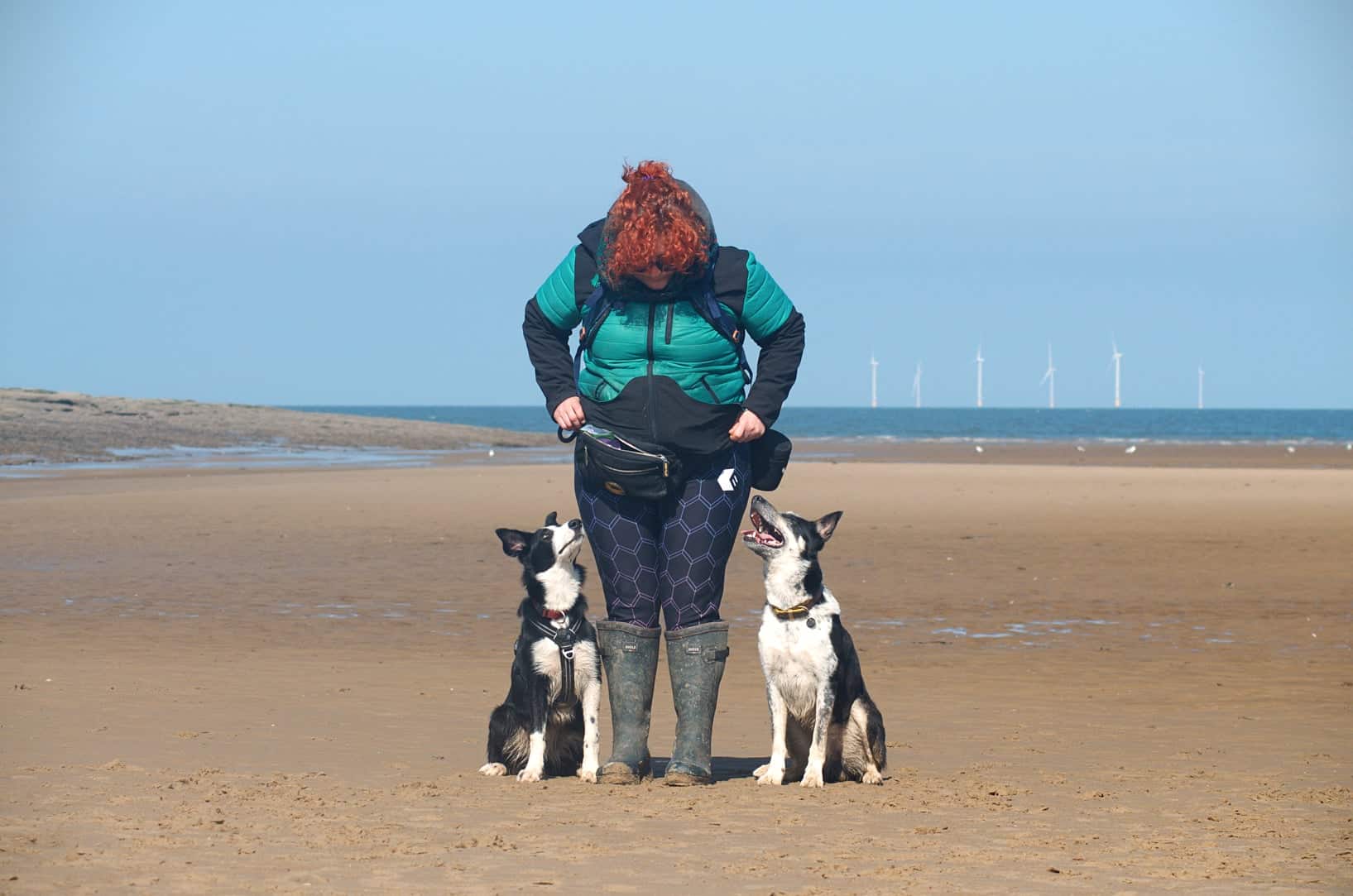 Are Border Collies Friendly With Strangers