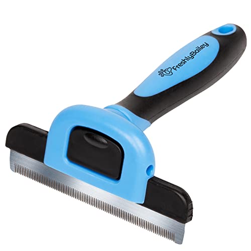 Best Brush for Short Hair Border Collie