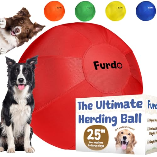 Best Herding Ball for Border Collies