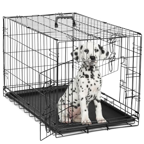 Best Kennel for Border Collie Puppy