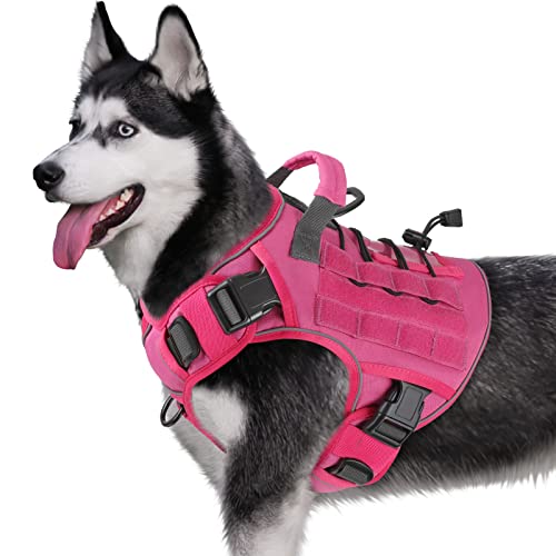 Best No Pull Harness for Border Collie