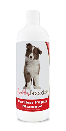 Best Shampoo for Border Collie Puppy