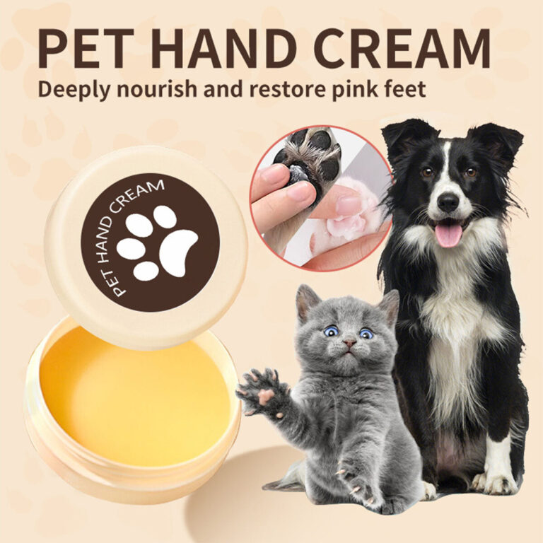 Do Border Collies Have 'Cat Feet'