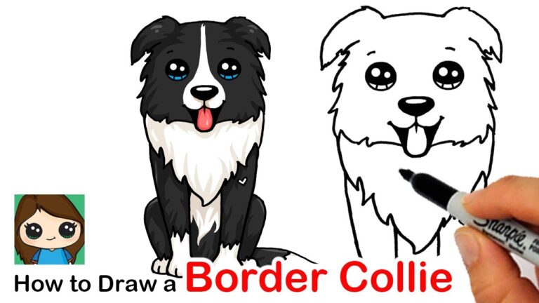 How to Draw a Border Collie​