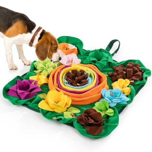 Best Snuffle Mat for Border Collie