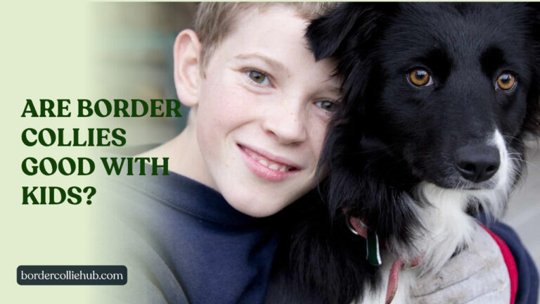 Are Border Collies Good with Kids