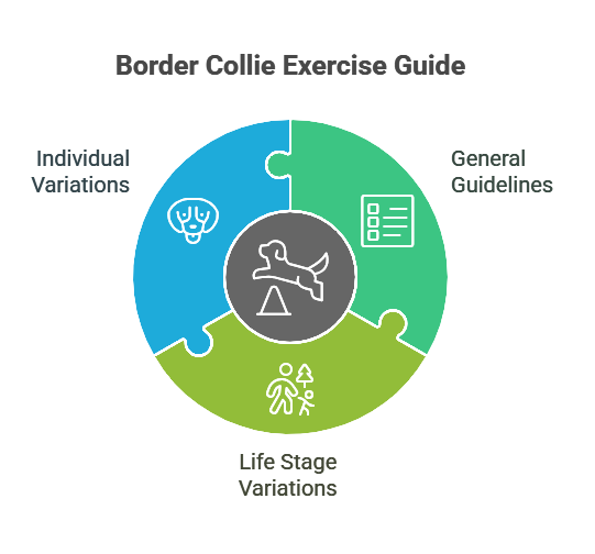 Educational Insights for Owners