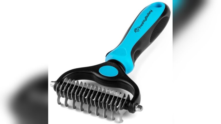 What are the Best Grooming Tools for Border Collies?