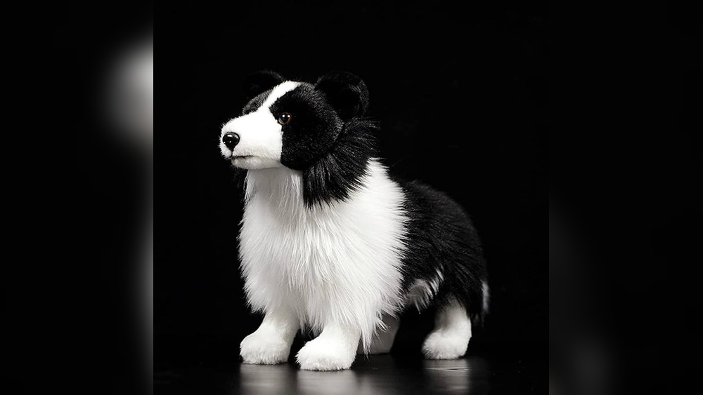 Where Can I Buy Durable Toys Suitable for Border Collies?