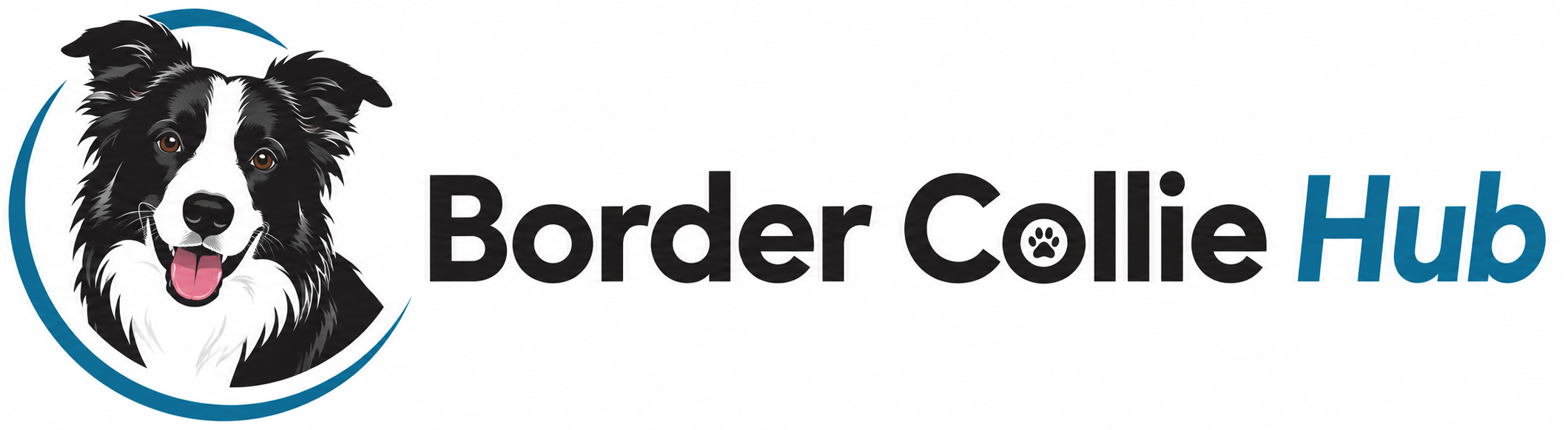 bordercolliehub