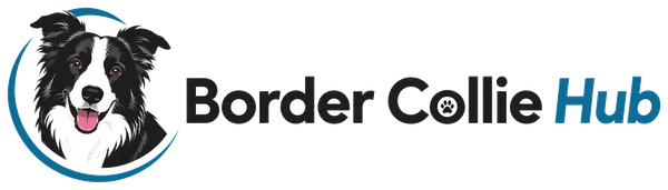 Border Collie Hub