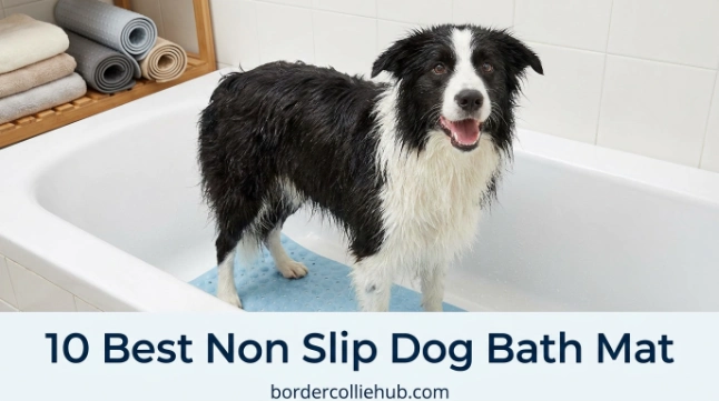 10 Best Non Slip Dog Bath Mat