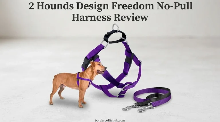 2 Hounds Design Freedom No-Pull Harness Review