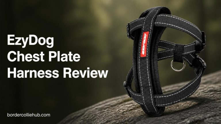 EzyDog Chest Plate Harness Review