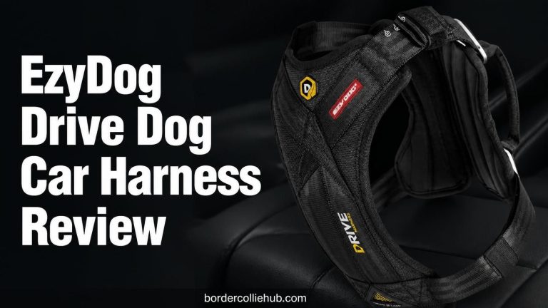 EzyDog Drive Dog Car Harness Review