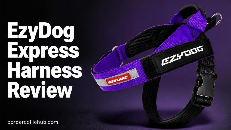 EzyDog Express Harness Review