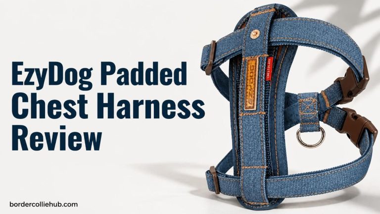 EzyDog Padded Chest Harness Review