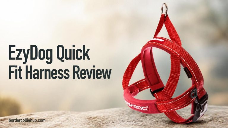 EzyDog Quick Fit Harness Review
