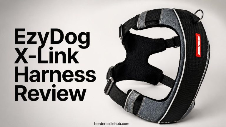 EzyDog X-Link Harness Review