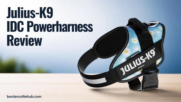 Julius-K9 IDC Powerharness Review