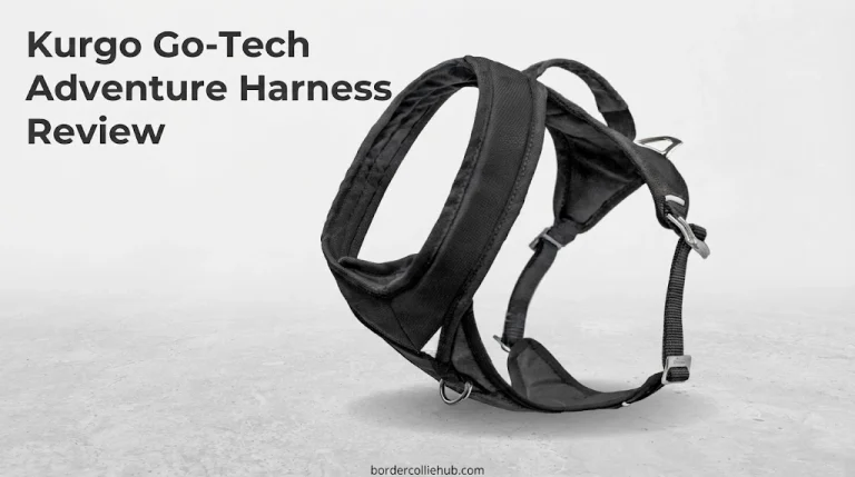 Kurgo Go-Tech Adventure Harness Review