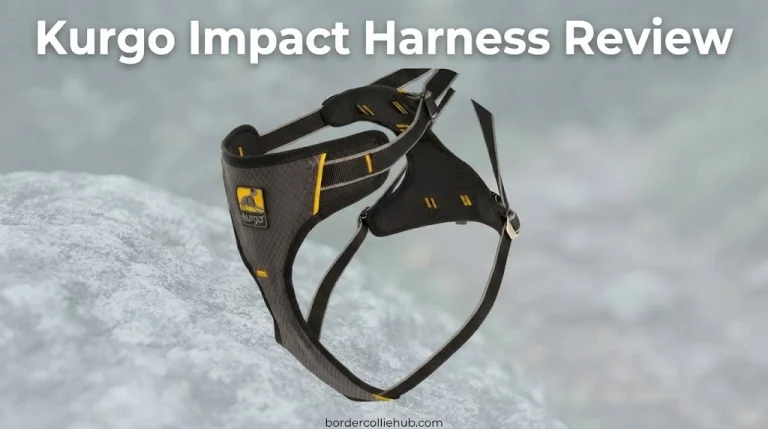 Kurgo Impact Harness Review