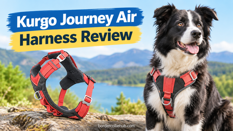 Kurgo Journey Air Harness Review