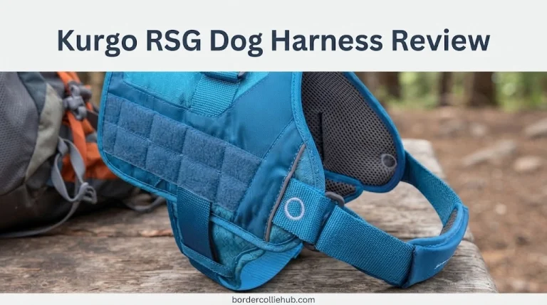 Kurgo RSG Dog Harness Review