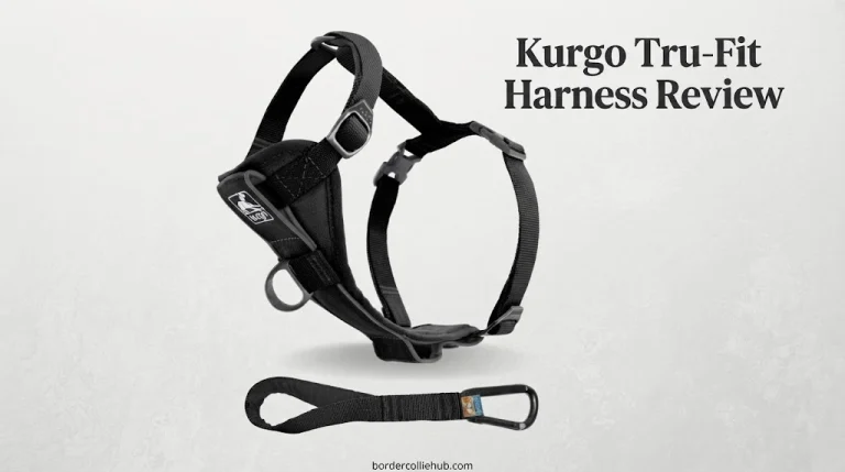 Kurgo Tru-Fit Smart Harness Review