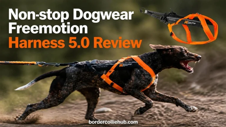 Non-stop Dogwear Freemotion Harness 5.0 Review