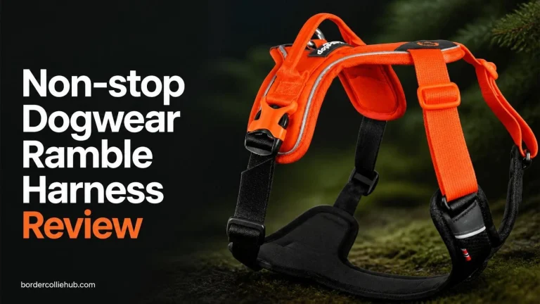Non-stop Dogwear Ramble Harness Review