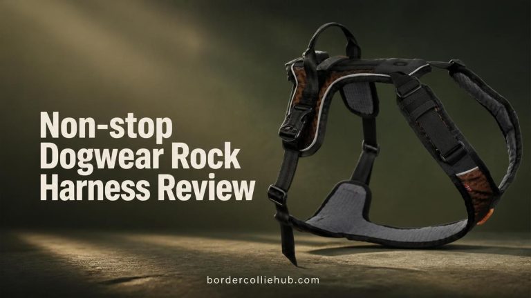 Non-stop Dogwear Rock Harness Review