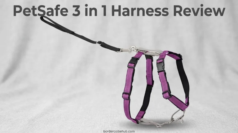 PetSafe 3 in 1 Harness Review