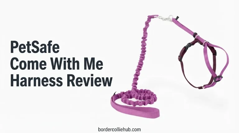 PetSafe Come With Me Harness Review