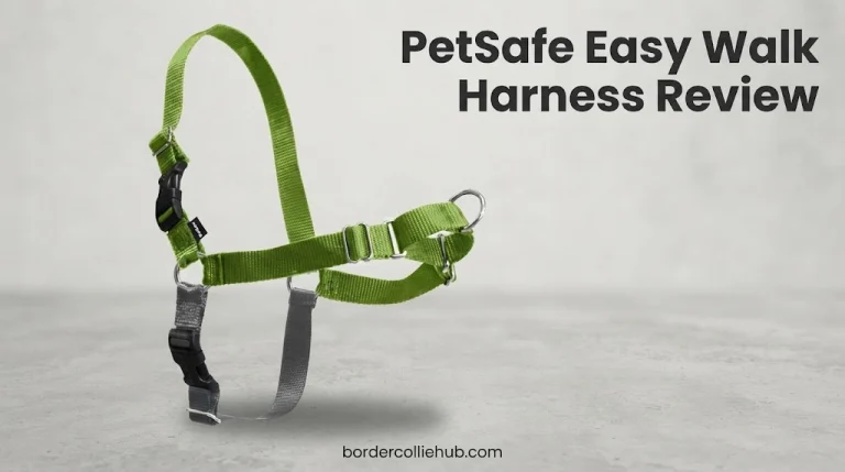 PetSafe Easy Walk Harness Review