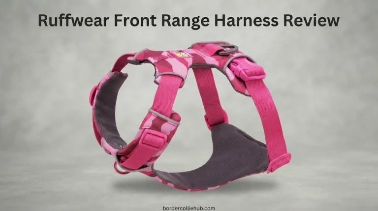 Ruffwear Front Range Harness Review