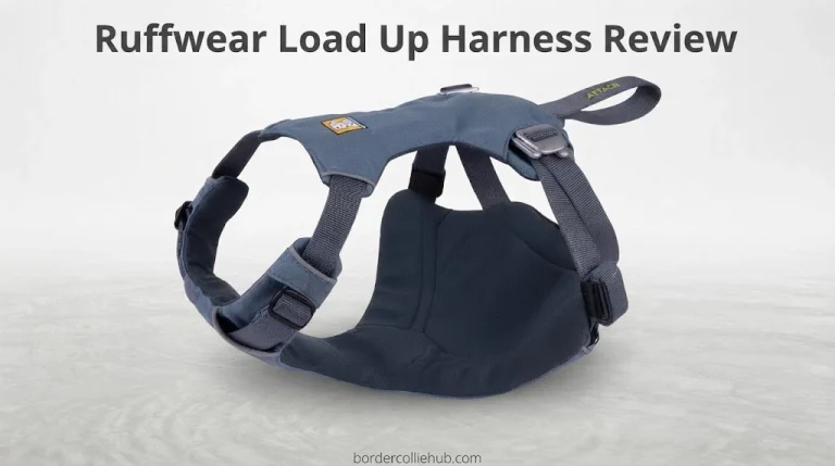 Ruffwear Load Up Harness Review