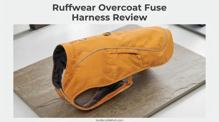 Ruffwear Overcoat Fuse Harness Review
