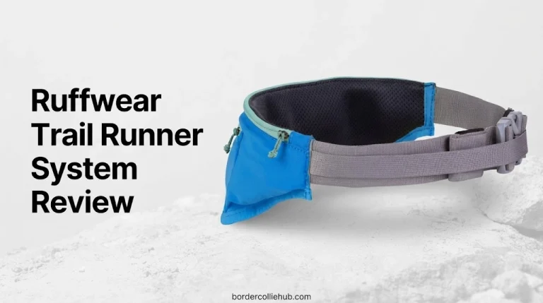 Ruffwear Trail Runner System Review