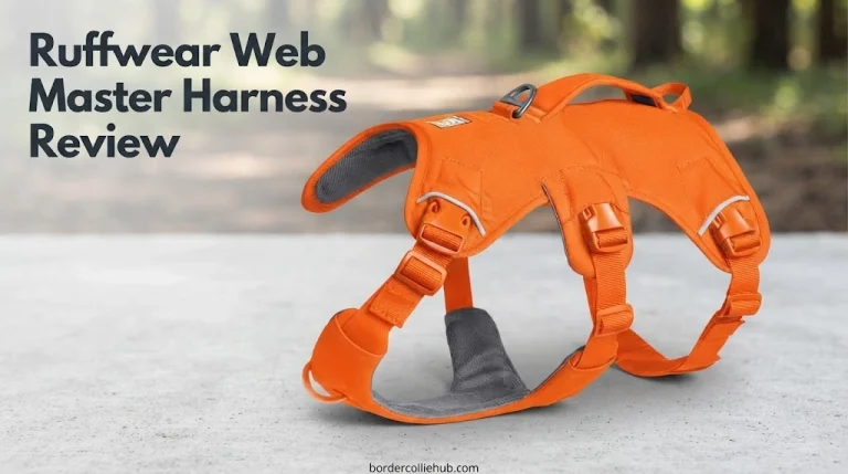 Ruffwear Web Master Harness Review