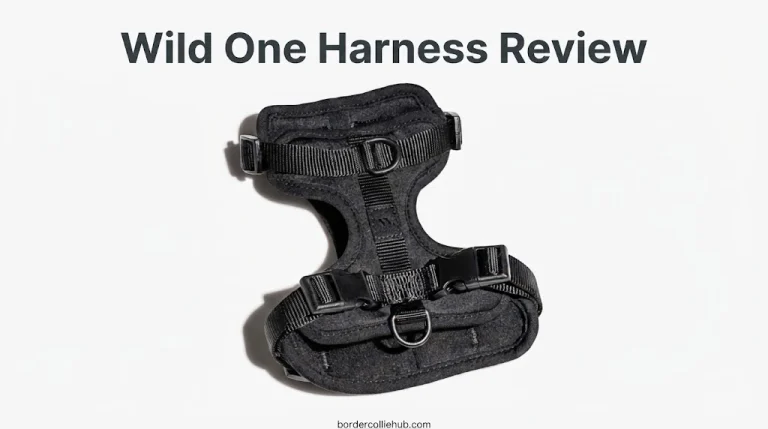 Wild One Harness Review