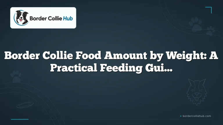 Border Collie Food Amount by Weight: A Practical Feeding Guide