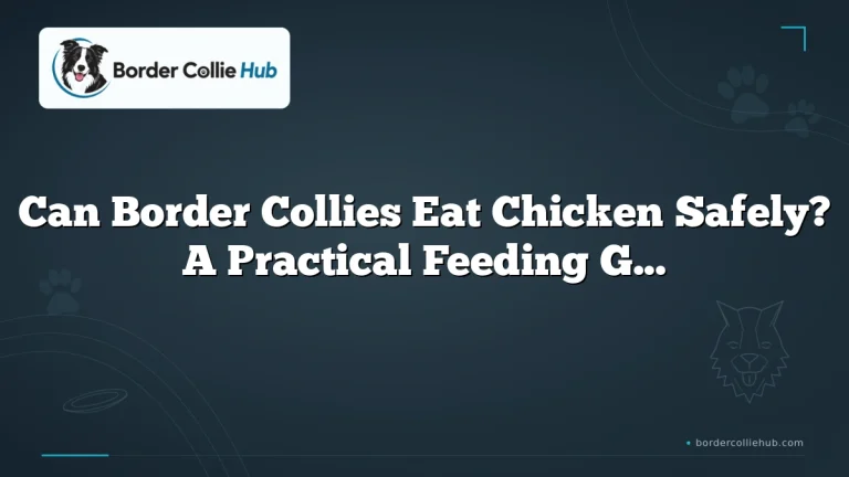 Can Border Collies Eat Chicken Safely? A Practical Feeding Guide