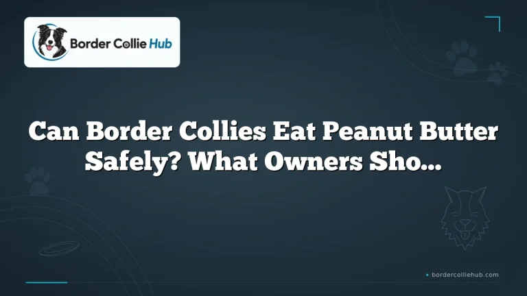 Can Border Collies Eat Peanut Butter Safely? What Owners Should Know