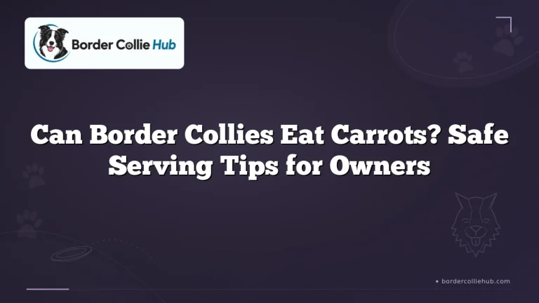 Can Border Collies Eat Carrots? Safe Serving Tips for Owners