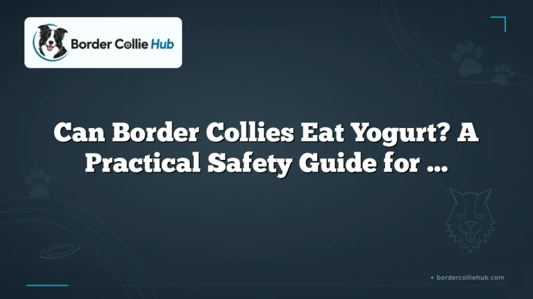 Can Border Collies Eat Yogurt? A Practical Safety Guide for Owners