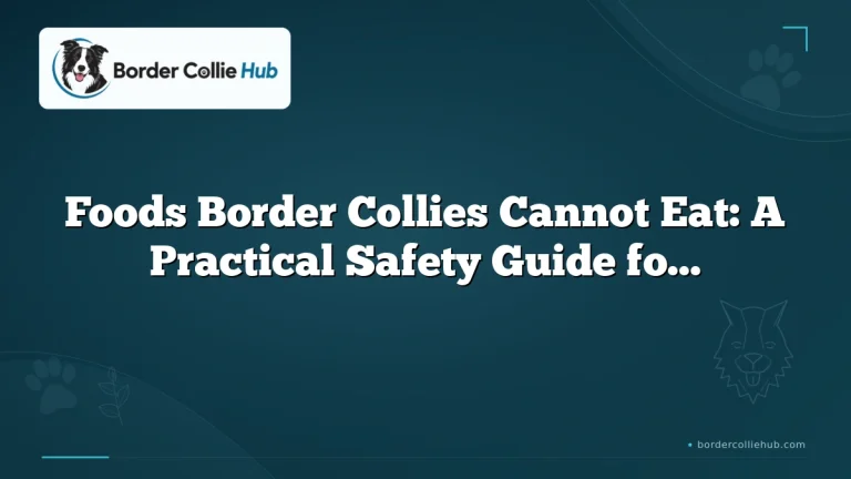 Foods Border Collies Cannot Eat: A Practical Safety Guide for Owners