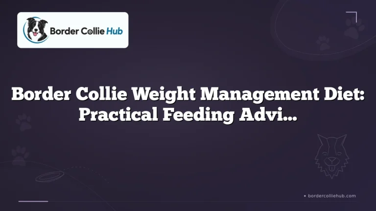 Border Collie Weight Management Diet: Practical Feeding Advice for a Lean, Healthy Dog
