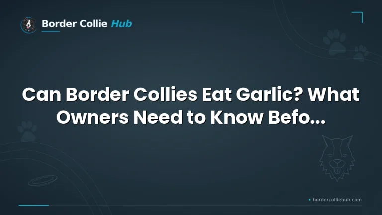 Can Border Collies Eat Garlic? What Owners Need to Know Before Offering Any