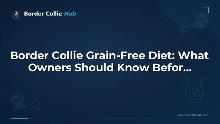 Border Collie Grain-Free Diet: What Owners Should Know Before Switching Foods